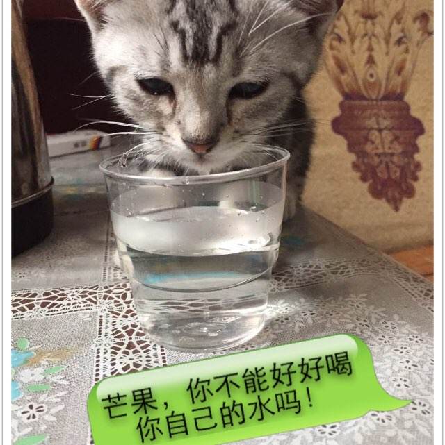 愛媛大学学历认证办理